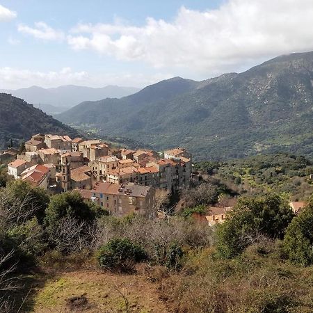 Villa Casa Corsa Santa-Lucia-di-Tallano Esterno foto