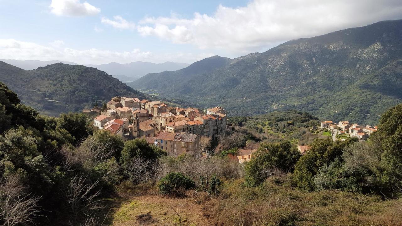 Villa Casa Corsa Santa-Lucia-di-Tallano Esterno foto